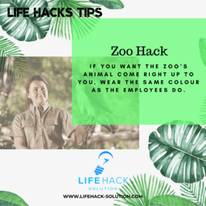 Zoo Life Hacks