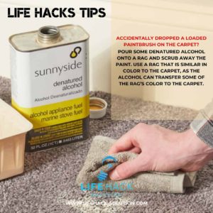 Life Hack to remove paint on the carpet
