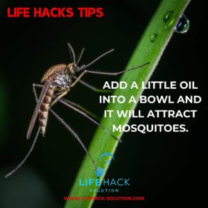 Life Hack to get rid of mosquitoes