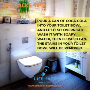 Life Hack to clean toilet