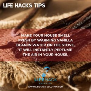 Life Hack to make house smell nice