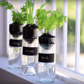 Create a Self-Watering Planter