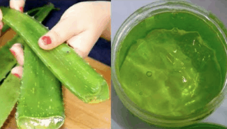 Aloe vera apply to boost hair growth