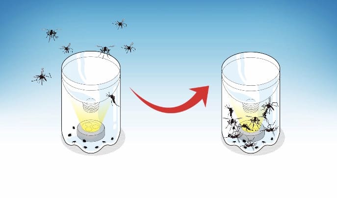 19 Effective Natural Ways To Get Rid Of Mosquitoes At Home