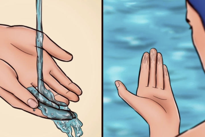 why do your fingers get wrinkly in water