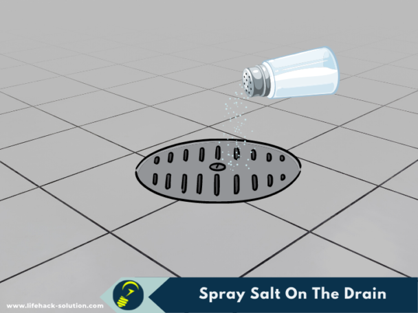 Worm in the Bathroom? Here are Tips to Get Rid and Repel Them