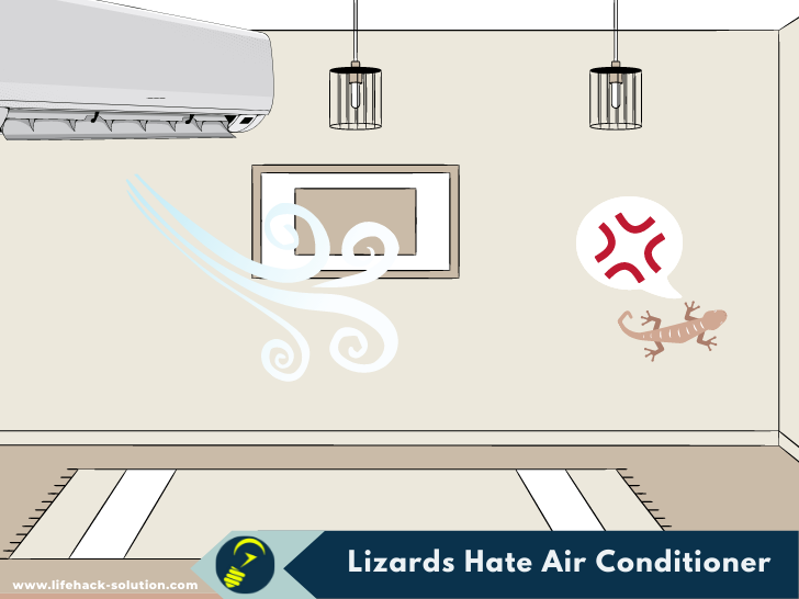 Does air conditioning kill lizards