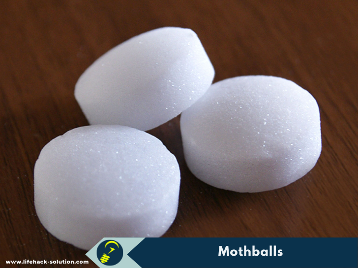 Mothballs