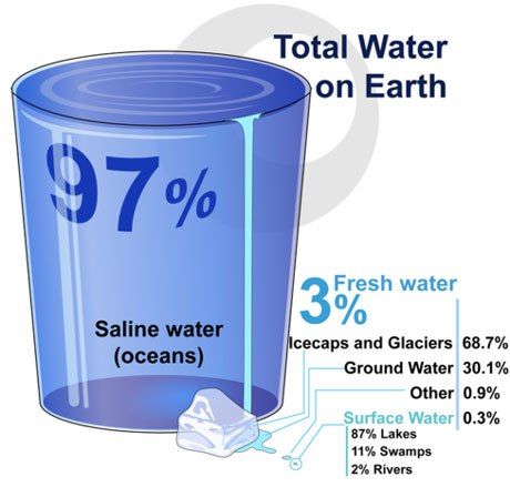 percentage of salt water on earth