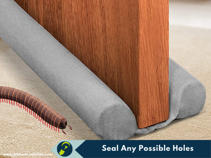 seal any possible holes to prevent centipede coming to your house