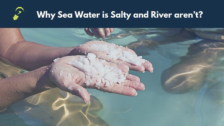 why-is-the-sea-water-salty-can-you-consume-it-for-survival