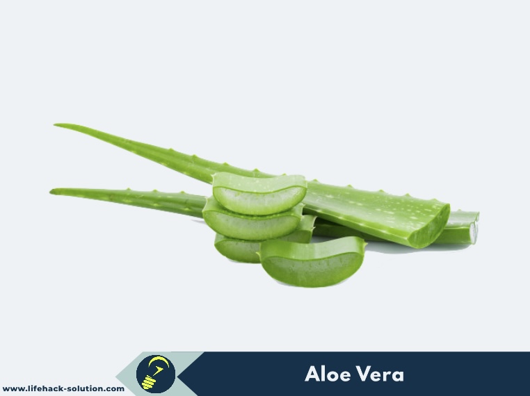 Aloe Vera - how to make my hair grow fast in a week