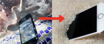 What to do if phone falls in water
