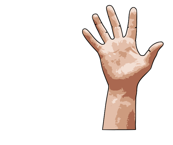 hand offensive gesture