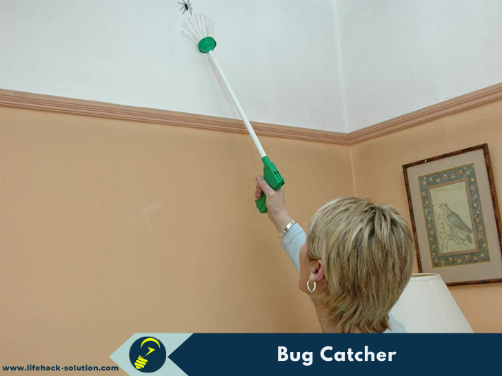 bug catcher life hack solution