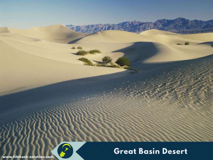 Great Basin Desert