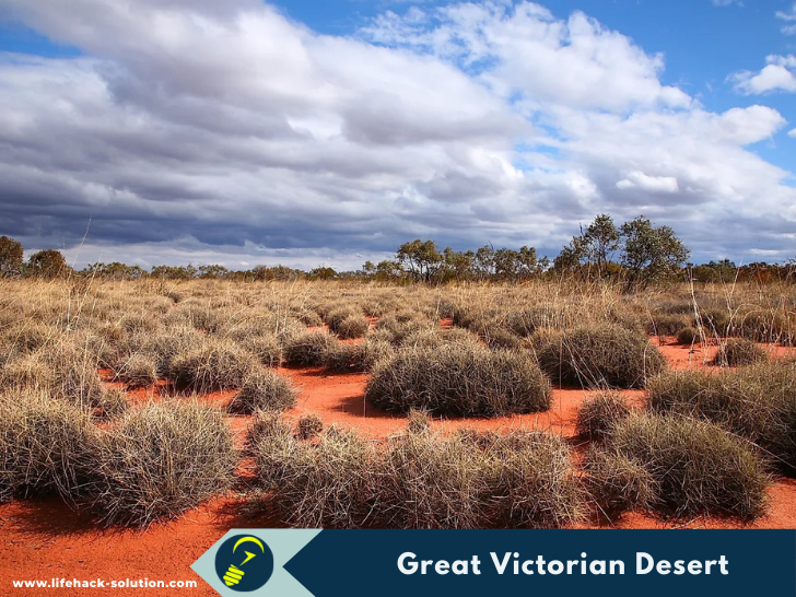 Great Victorian Desert 
