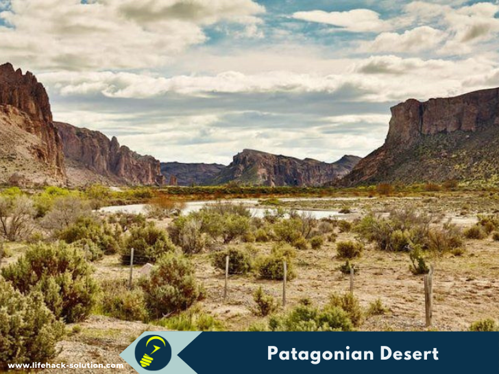 Patagonian Desert 