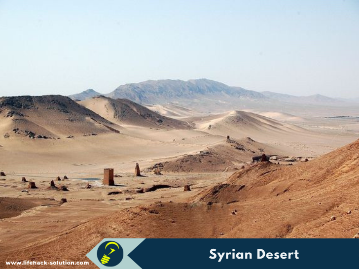 Syrian Desert 