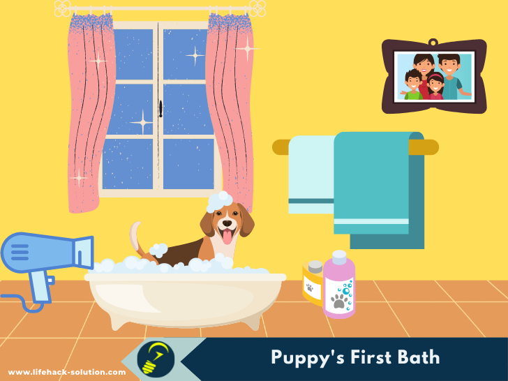 puppy first bath