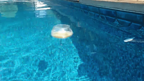 floating wine glass