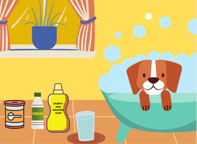 How to create DIY Dog Shampoo