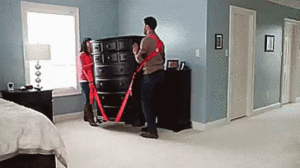 furniture lifting strap