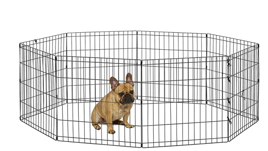 octagon fence dog tricks